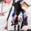 17. Maximilian Ritterspiele Horb