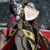 17. Maximilian Ritterspiele Horb