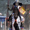 17. Maximilian Ritterspiele Horb