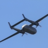 OTT 13