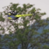18. Heidelberger-Vatertags-Helitreffen