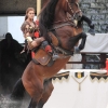 18. Maximilian Ritterspiele Horb