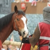 18. Maximilian Ritterspiele Horb