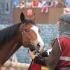 18. Maximilian Ritterspiele Horb