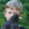 18. Maximilian Ritterspiele Horb