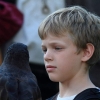 18. Maximilian Ritterspiele Horb