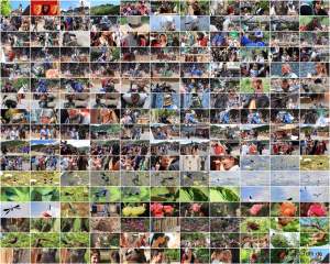 18. Maximilian Ritterspiele Horb