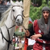 18. Maximilian Ritterspiele Horb