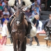 18. Maximilian Ritterspiele Horb
