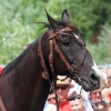 18. Maximilian Ritterspiele Horb