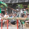 18. Maximilian Ritterspiele Horb