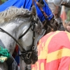 18. Maximilian Ritterspiele Horb