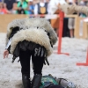 18. Maximilian Ritterspiele Horb