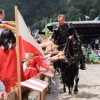 18. Maximilian Ritterspiele Horb