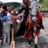 18. Maximilian Ritterspiele Horb