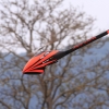 19. Heidelberger Vatertags-Helitreffen 14.05.2015