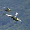 19. Heidelberger Vatertags-Helitreffen 14.05.2015