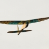2. Freundschaftsfliegen