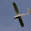 2. Freundschaftsfliegen