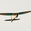 2. Freundschaftsfliegen