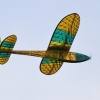 2. Freundschaftsfliegen