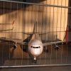 Airlinertreffen Oppingen