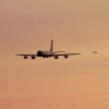 Airlinertreffen Oppingen
