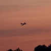Airlinertreffen Oppingen