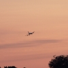 Airlinertreffen Oppingen