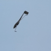 Airlinertreffen Oppingen
