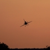 Airlinertreffen Oppingen