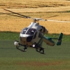 Airlinertreffen Oppingen
