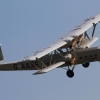 Airlinertreffen Oppingen
