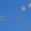 Airlinertreffen Oppingen