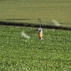 Airlinertreffen Oppingen