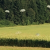 Airlinertreffen Oppingen