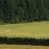 Airlinertreffen Oppingen