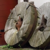 20. Deutscher Mühlentag