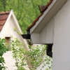 20. Deutscher Mühlentag