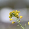 1dfh-050516-067
