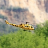 1dfh-050516-046