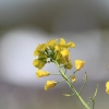 1dfh-050516-067