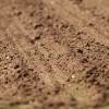 1dfh-050516-078