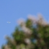 1dfh-050516-082