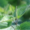 1dfh-050516-099