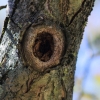 1dfh-050516-100