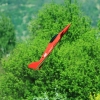 1dfh-050516-108