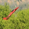 1dfh-050516-109