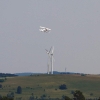 25. Farrenberg-Segelflugwettbewerb