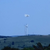 25. Farrenberg-Segelflugwettbewerb